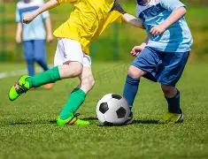 灰熊主场激,能否击败马,刺新生代,MG厅下载,MG厅电子,MG厅官网,MG厅app