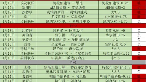 林德洛夫强调本菲卡重要性，未来决定待与妻商议